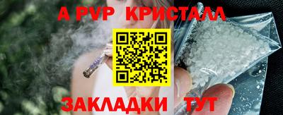 крисы Моздок
