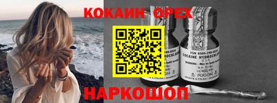 крисы Можга