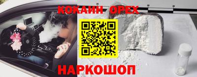 крисы Моздок