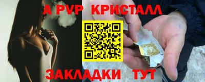 крисы Моздок