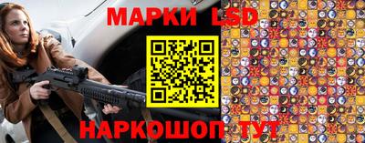 крисы Моздок