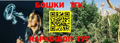 крисы Можга