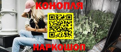 крисы Моздок