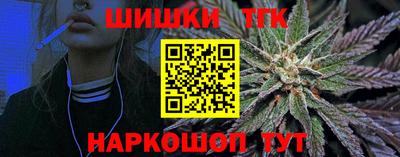 крисы Можга