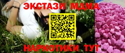 крисы Можга
