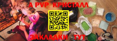 крисы Можга