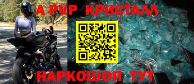 крисы Моздок