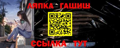крисы Можга