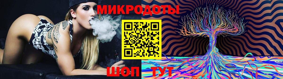 Псилоцибиновые грибы Psilocybe Советский